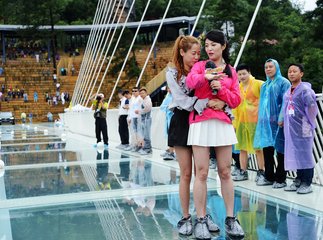 最后的花园冲动unmodified